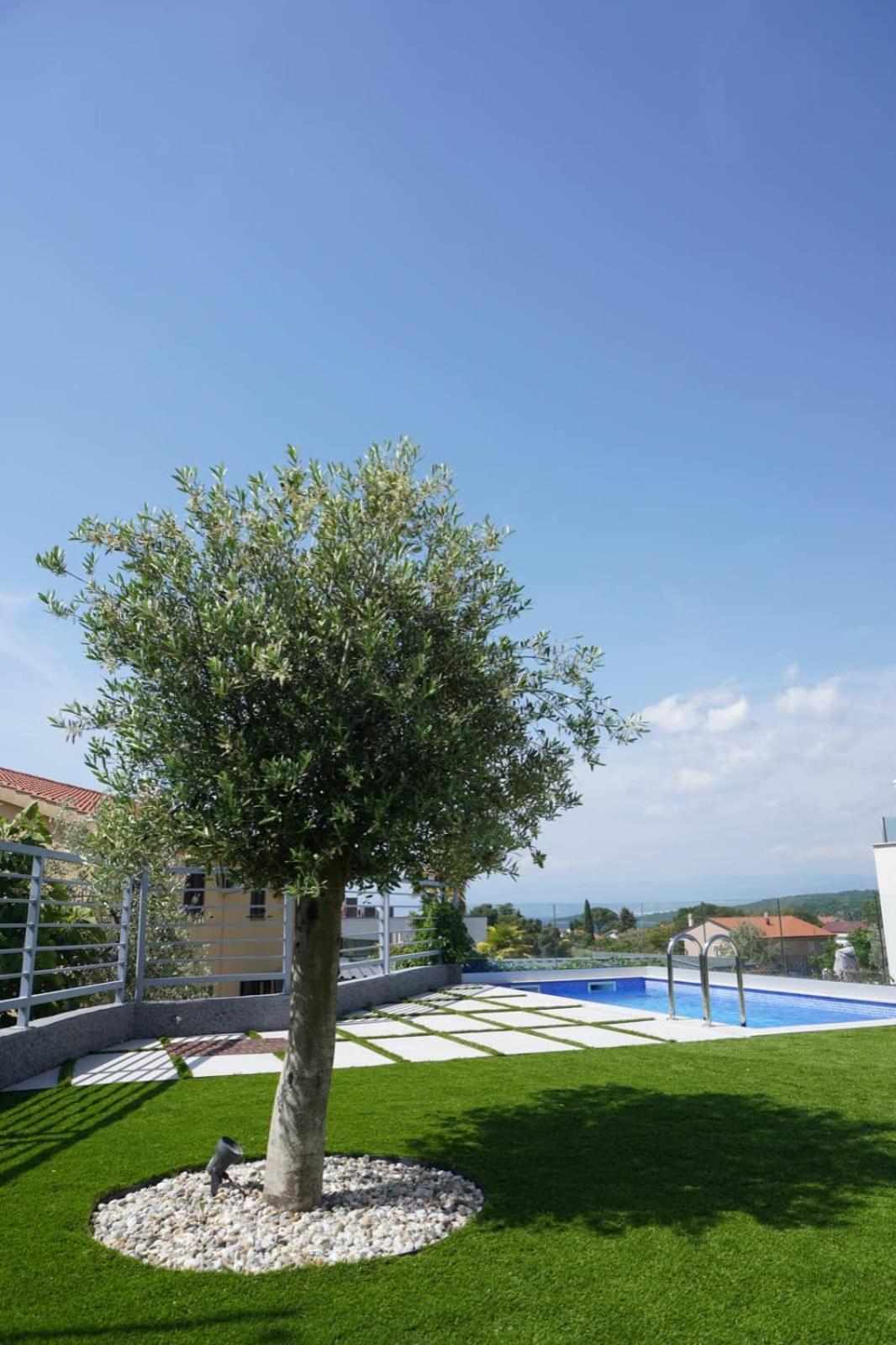 Apartman Mirno